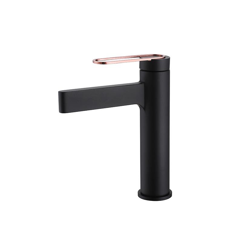 FVB334 Modern Brass Faucet with Single-Handle Design
