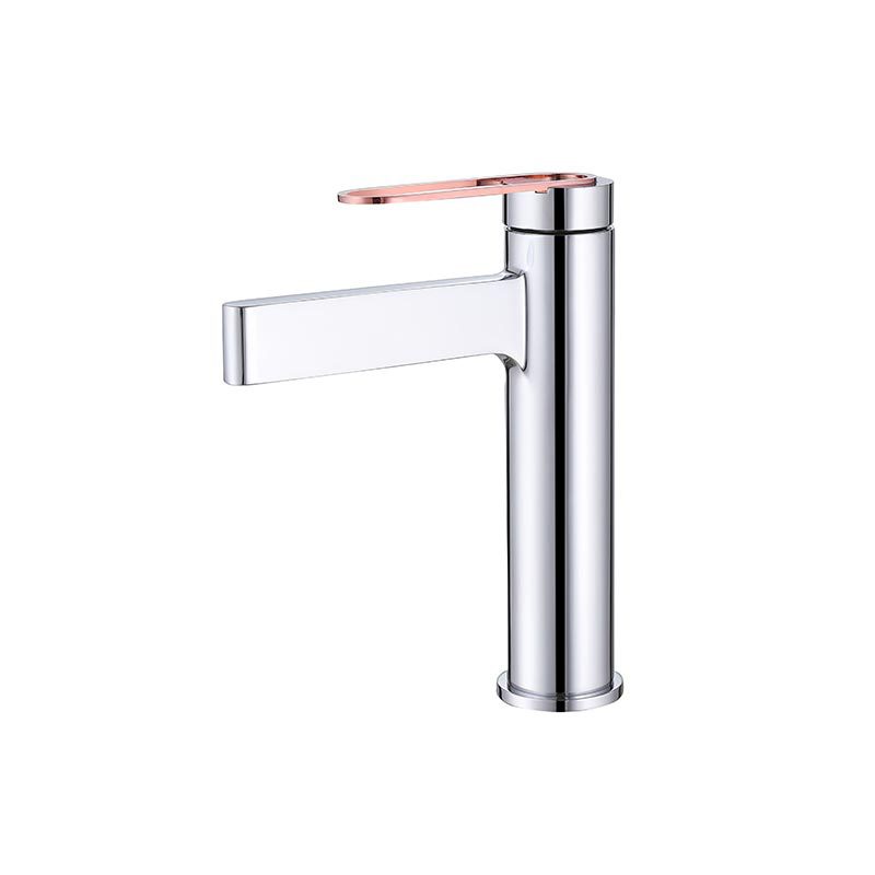 FVB334 Modern Brass Faucet with Single-Handle Design